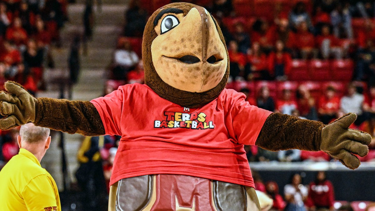 Maryland Terps Basketball Mascot