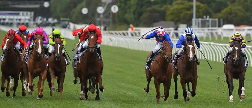 r-horse-racing-htf-13-05-19.jpg