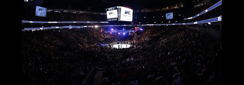 UFC Arena 