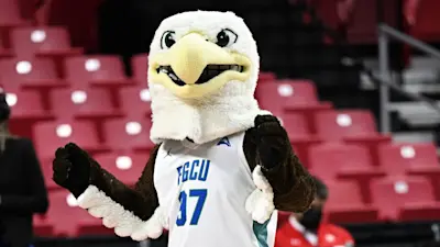 Florida Gulf Coast bball mascot