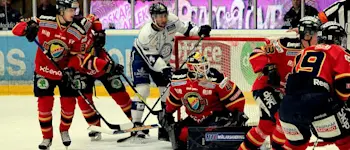 r icehockey swedish eliteserien new
