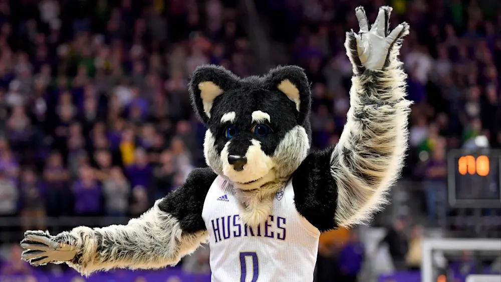 Washington basketball mascot