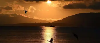 r-tv-temptationsisland4.jpg