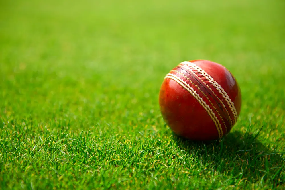 Cricket