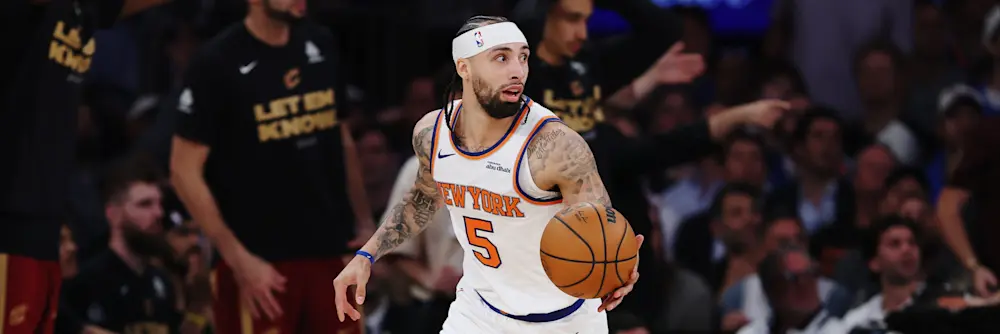 Jose Alvarado Knicks 2026
