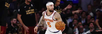 Jose Alvarado Knicks 2026