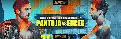 UFC 301