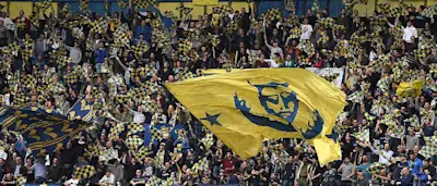 r football serieb hellasverona fans