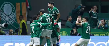 palmeiras 2