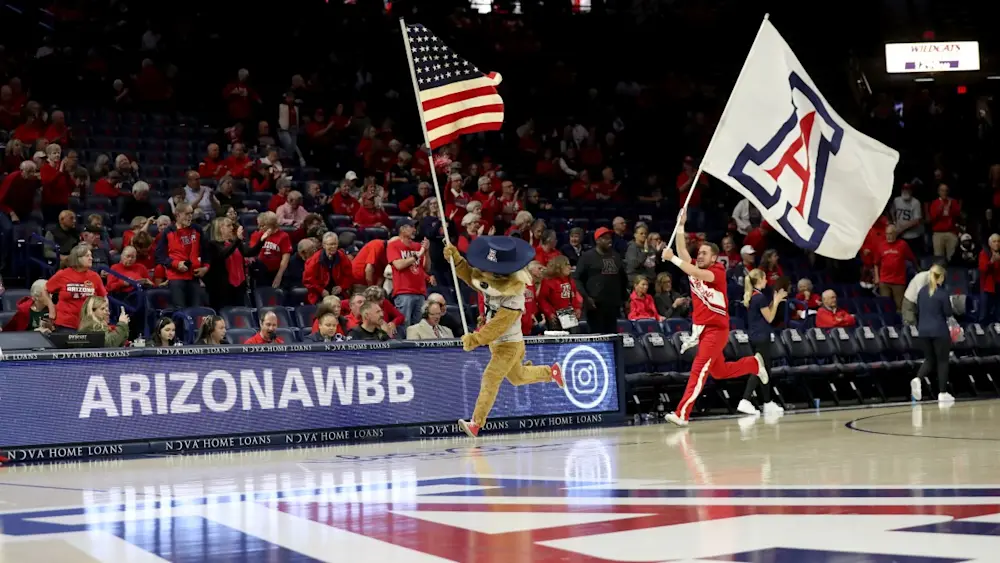 Arizona Wildcats Basketball Mascot