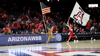 Arizona Wildcats Basketball Mascot