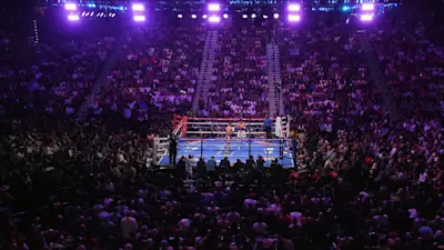 Generic Boxing Ring 3