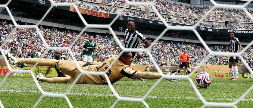 palmeiras botafogo