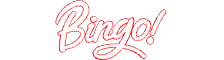 Mirror Bingo  Logo