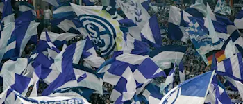 r football schalke fans