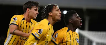 football 2024 england premier league brighton goal celebration