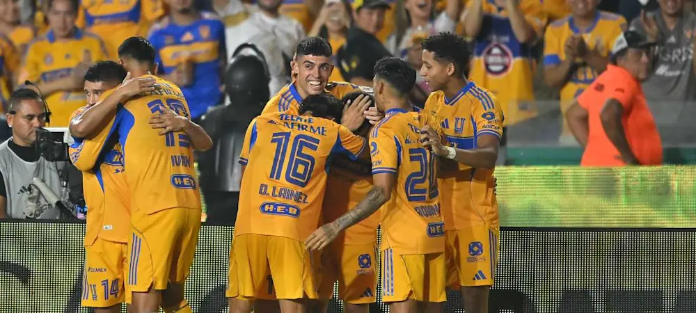 tigres 2