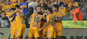 tigres 2