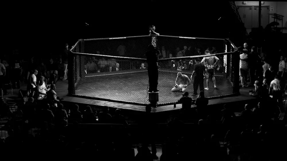 Generic UFC-MMA Octagon