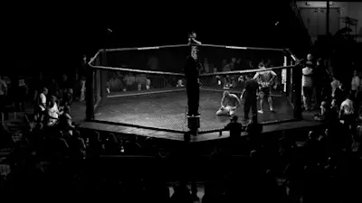 Generic UFC-MMA Octagon