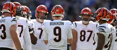 Bengals Team Shot