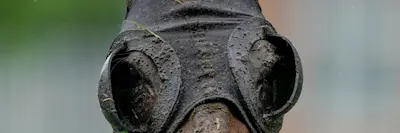 horse in rain generic