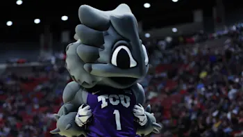TCU basketball mascot
