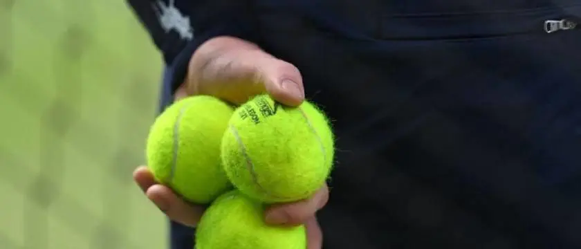 bf tennis balls 24 12 21