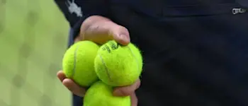 bf tennis balls 24 12 21