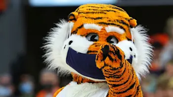 Auburn Mascot CBB
