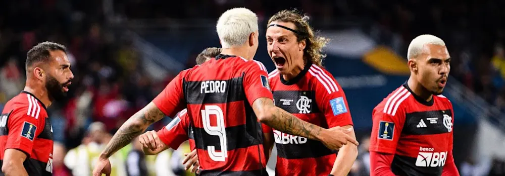 football 2023 brasileirao flamengo goal pedro