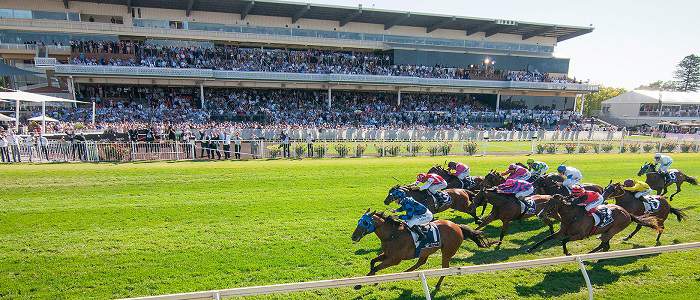r-racing-course-ascot.jpg
