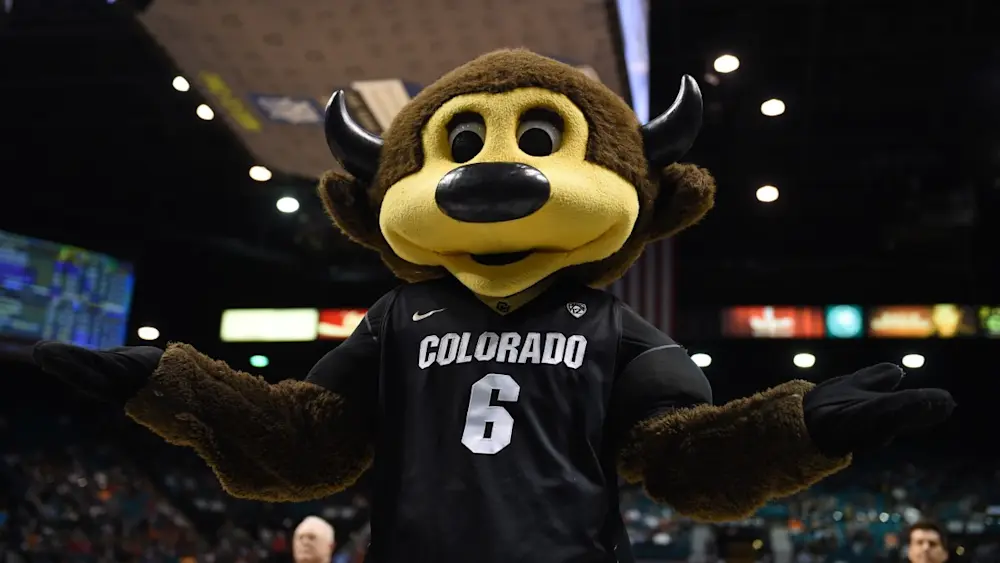 Colorado Buffaloes Mascot
