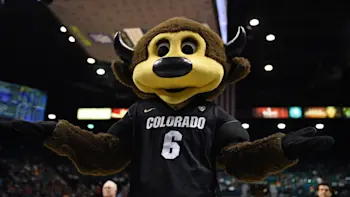 Colorado Buffaloes Mascot