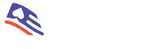 ACE.com Logo