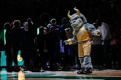 South Florida Bulls Mascot