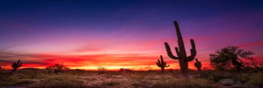 Arizona Generic