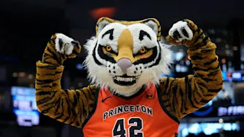 Princeton Tigers basketball mascot