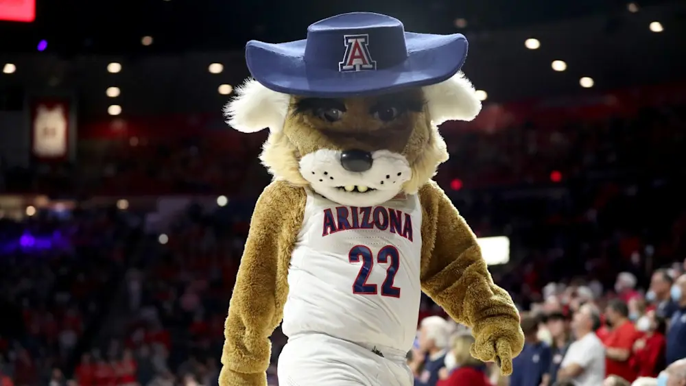 Arizona CBB Mascot