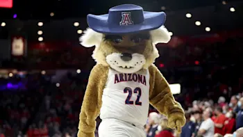 Arizona CBB Mascot