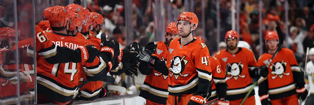 Anaheim Ducks 2026