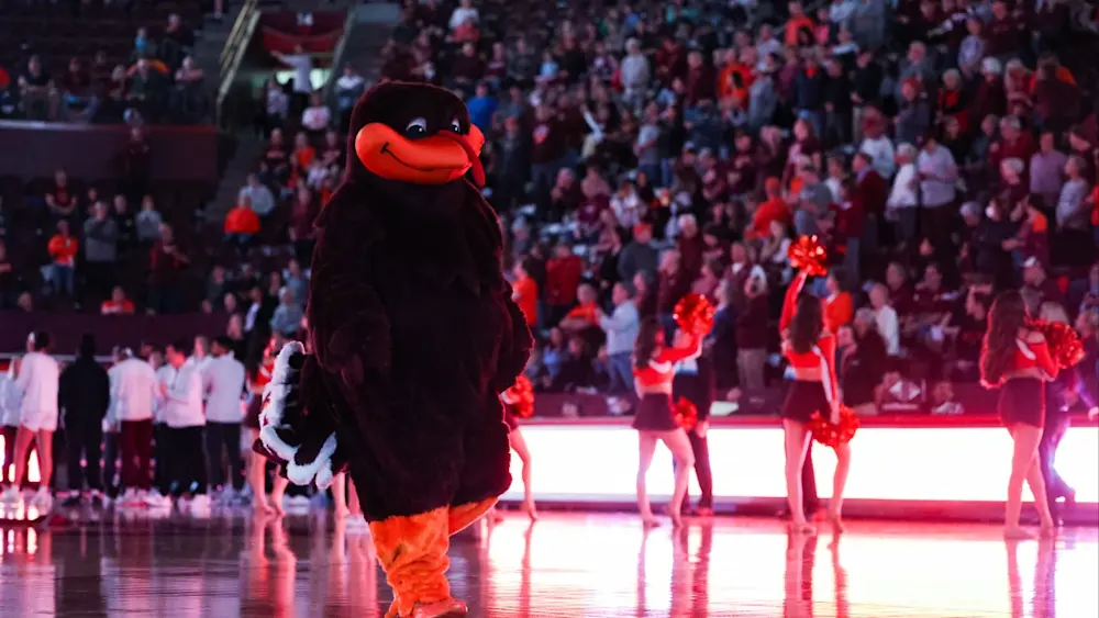 Virginia Tech Hokies Basketball Mascot