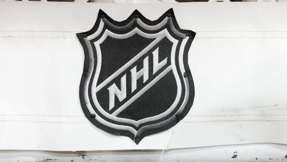 NHL Logo Generic