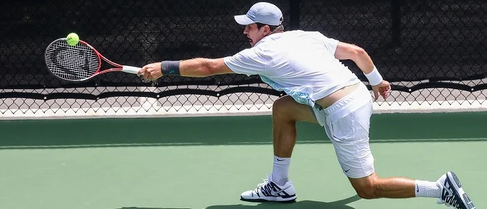 r tennis mischa zverev
