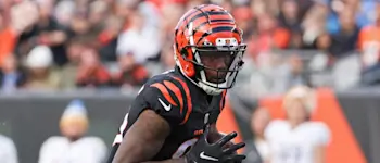 Tee Higgins Bengals Catch