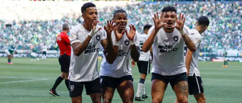 football brasil botafogo celebration