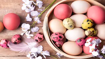 Easter Eggs