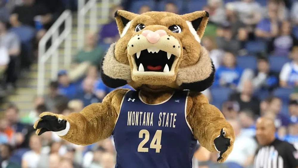 Montana State bball mascot