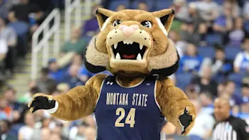 Montana State bball mascot