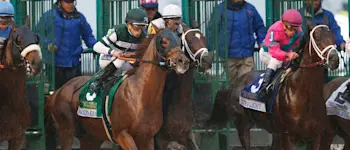 r-horse-racing-gulfstream-park-3.jpg